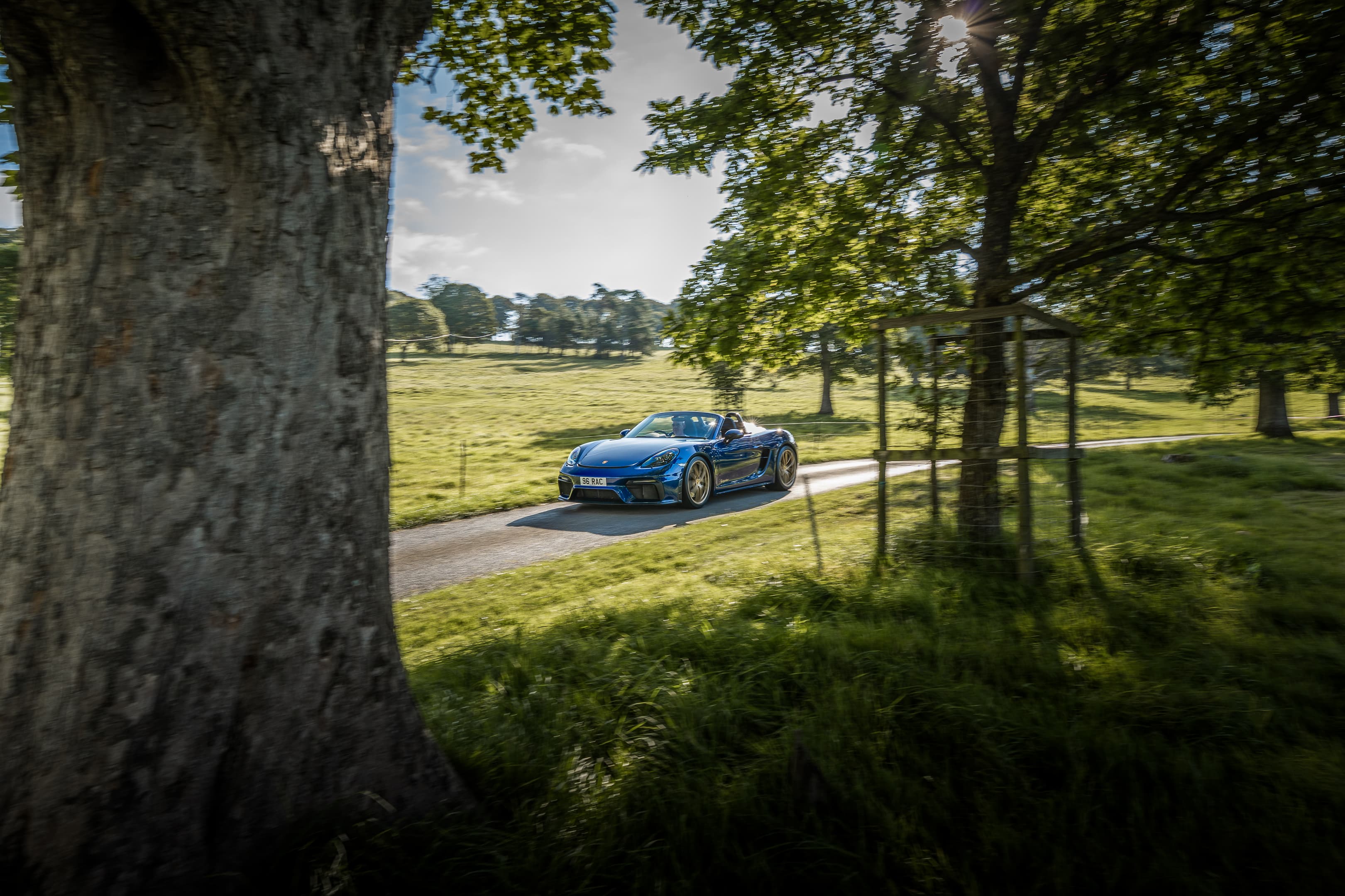 A blue Porsche on the estate drive at Leighton Hall, framed by trees with parkland behind